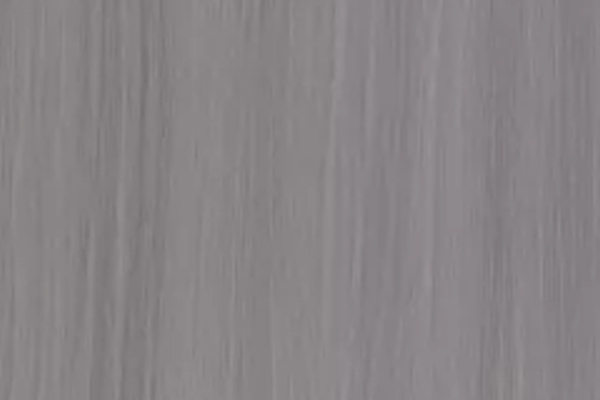 1010